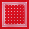Classic Style Bandana | Large Spot (10 colours) - Image 2