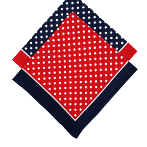 Bandana - Red / Navy with Spots