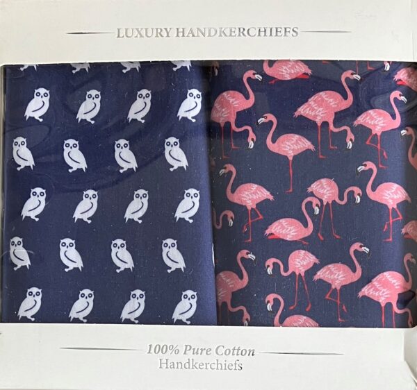 Handkerchiefs - Birds (2 Pack)