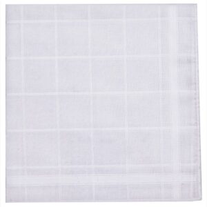 Handkerchief - Mens White Handkerchief with Satin Check Design